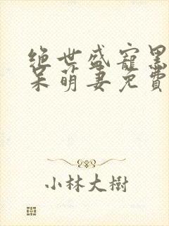 绝世盛宠黑帝的呆萌妻免费