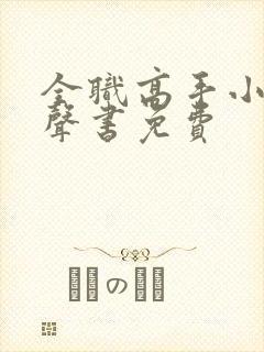 全职高手小说有声书免费