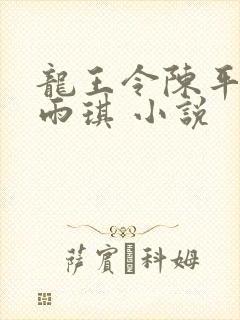 龙王令陈平,苏雨琪 小说