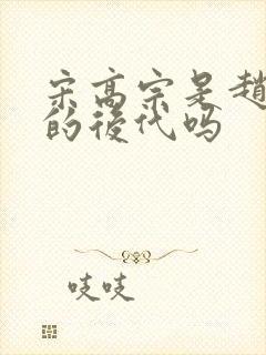 宋高宗是赵匡胤的后代吗