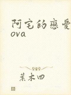 阿宅的恋爱真难ova封面