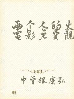 两个人的火山 电影免费观看封面