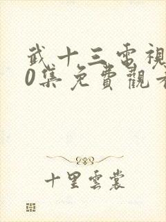 武十三电视剧40集免费观看