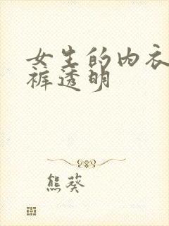 女生的内衣和内裤透明封面