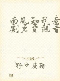 南风知我意电视剧免费观看98影院封面
