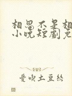相思不是相逢慕小晚短剧免费观看