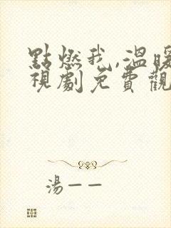 点燃我,温暖电视剧免费观看封面