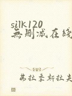 silk120无删减在线播放封面