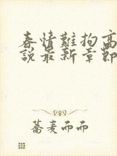 春情难拘高芸小说最新章节更新