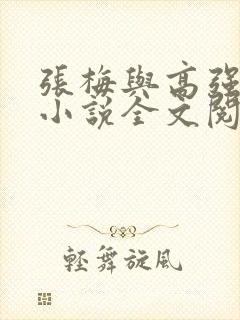 张梅与高强官场小说全文阅读封面