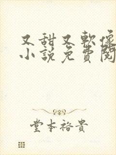 又甜又软像颗糖小说免费阅读