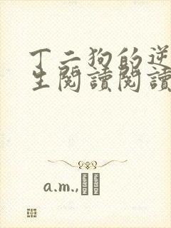 丁二狗的逆袭人生阅读阅读全文封面