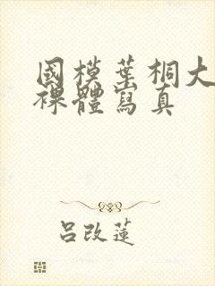 国模叶桐大尺度裸体写真