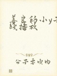 善良的小y子在线播放封面