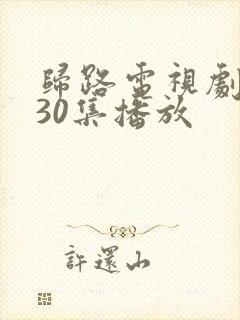 归路电视剧全集30集播放