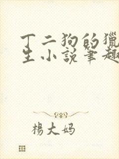 丁二狗的猎艳人生小说笔趣阁