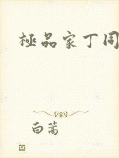 极品家丁同人封面