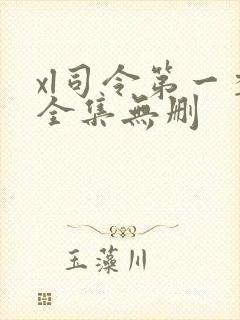 xl司令第一季全集无删