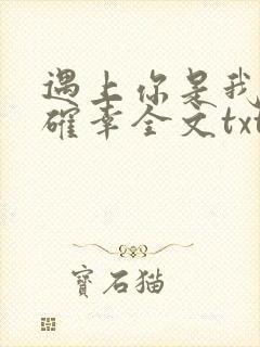 遇上你是我的小确幸全文txt下载封面