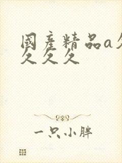 国产精品a久久久久久封面