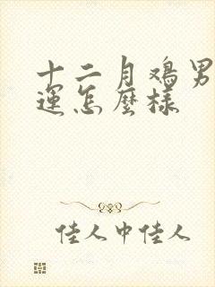 十二月鸡男的命运怎么样封面