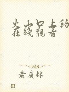 火山口上的两人在线观看