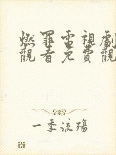 燃罪电视剧在线观看免费观看封面