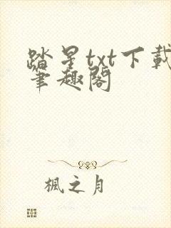 踏星txt下载笔趣阁