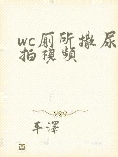 wc厕所撒尿偷拍视频