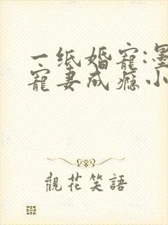 一纸婚宠:墨少宠妻成瘾小说