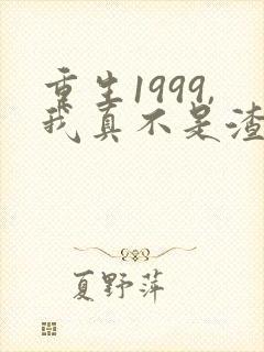 重生1999,我真不是渣男啊