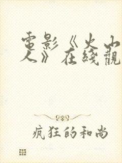 电影《火山口两人》在线观看