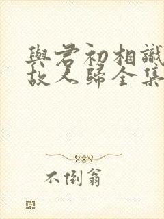 与君初相识恰似故人归全集免费看封面