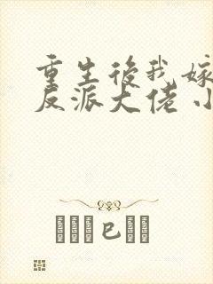 重生后我嫁给了反派大佬 小说封面