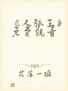 《人脉王》韩剧免费观看