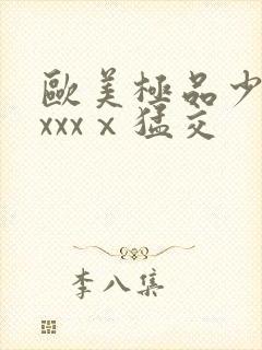 欧美极品少妇xxxxⅹ猛交