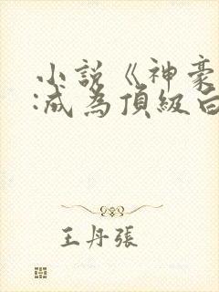 小说《神豪系统:成为顶级白富美》封面