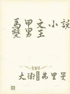 马甲文小说推荐双男主