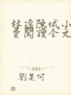 林瑶陈城小说免费阅读全文最新章节