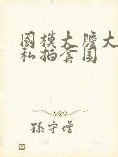 国模大胆大尺度私拍套图封面