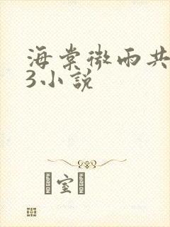 海棠微雨共归途3小说封面