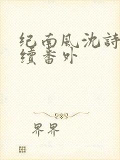 纪南风沈诗澜后续番外封面
