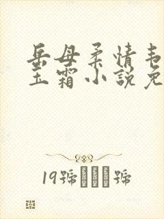 岳母柔情韦峰白玉霜小说免费阅读封面