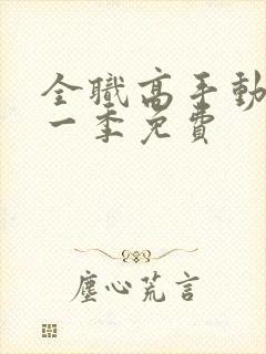 全职高手动漫第一季免费