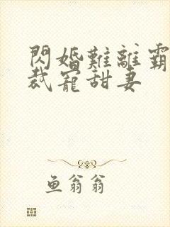 闪婚难离霸道总裁宠甜妻