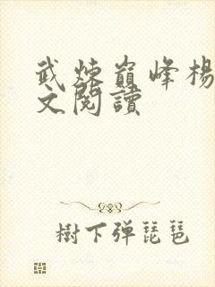 武炼巅峰杨开全文阅读