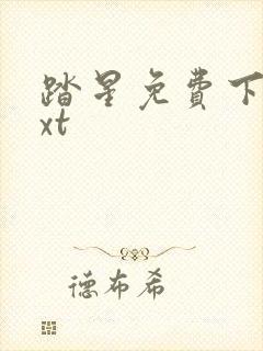 踏星免费下载txt封面