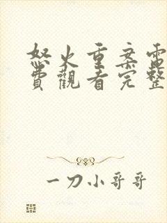 怒火重案电影免费观看完整版