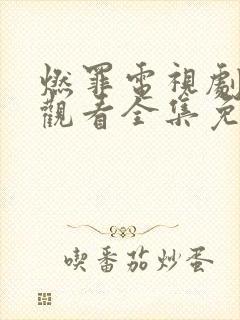 燃罪电视剧在线观看全集免费播放