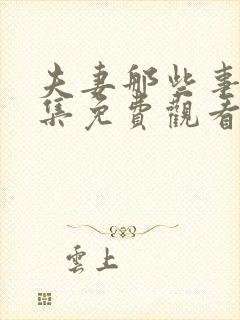 夫妻那些事儿全集免费观看电视剧